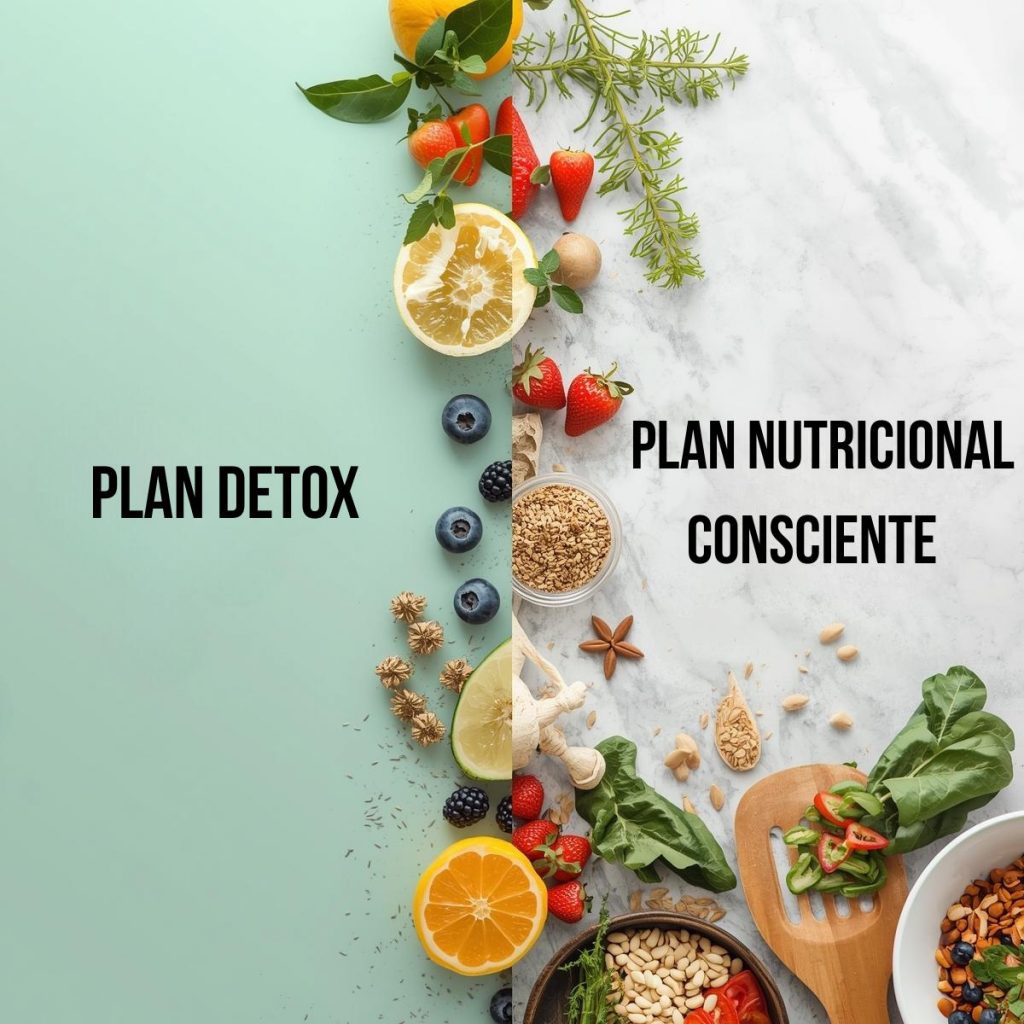 Comida saludable meal prep en recipientes — plan semanal Medellín